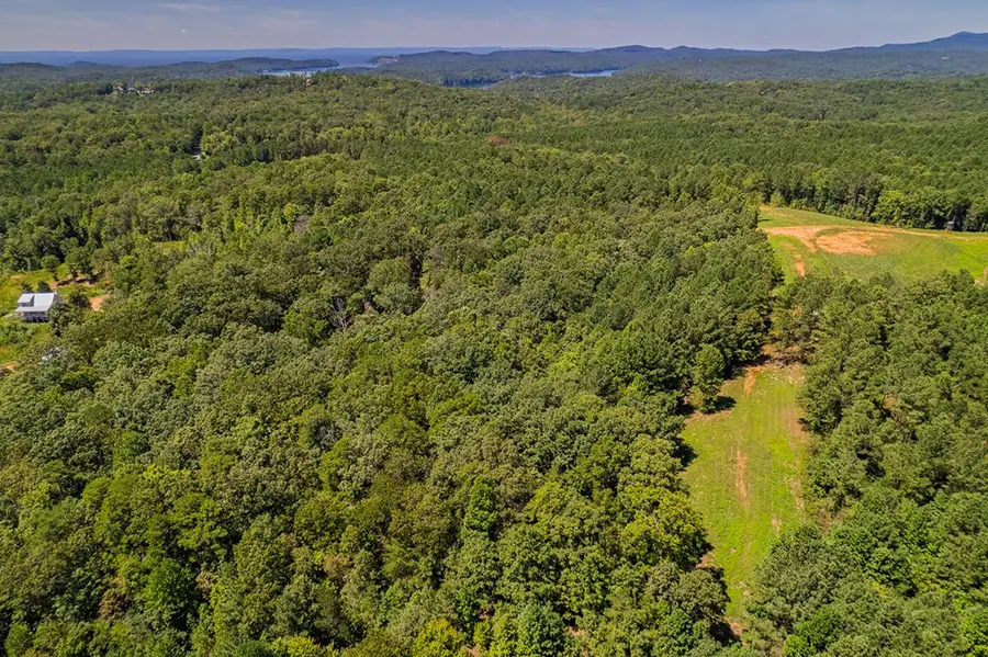 Lot 1 Harris Branch Road E, Ellijay, GA 30540 - #3