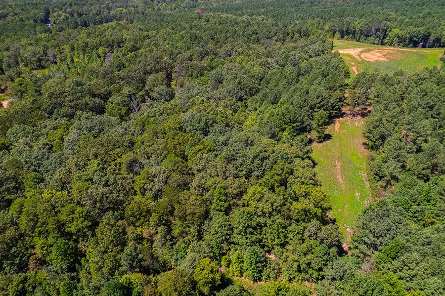 Lot 19 Harris Branch Road E, Ellijay, GA 30540 - #2
