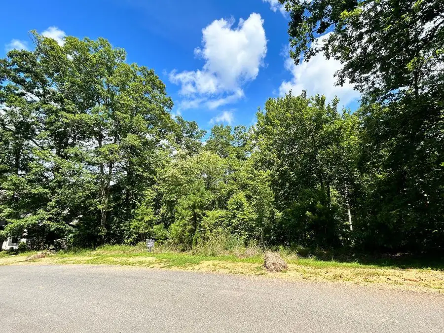 HP25 Old Toccoa Loop, Mineral Bluff, GA 30559 - #2