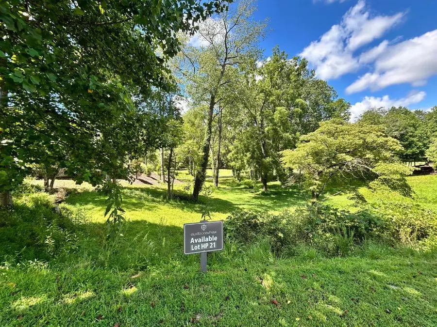 Lot HP21 E Old Toccoa Loop, Mineral Bluff, GA 30559 - #2