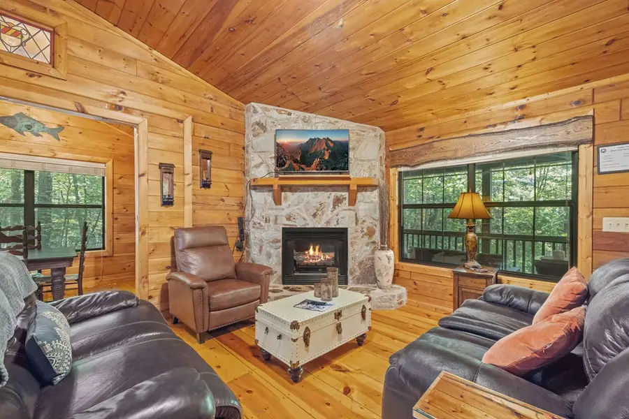 129 N Cherokee Drive, Blue Ridge, GA 30513 - #2