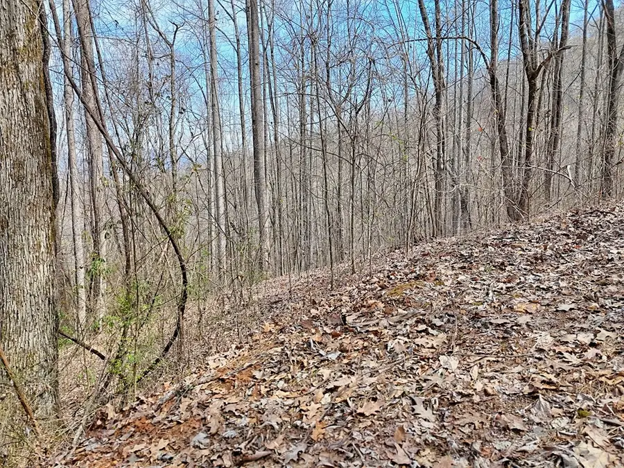 #2 High Meadows Drive, Hayesville, NC 28904 - #3