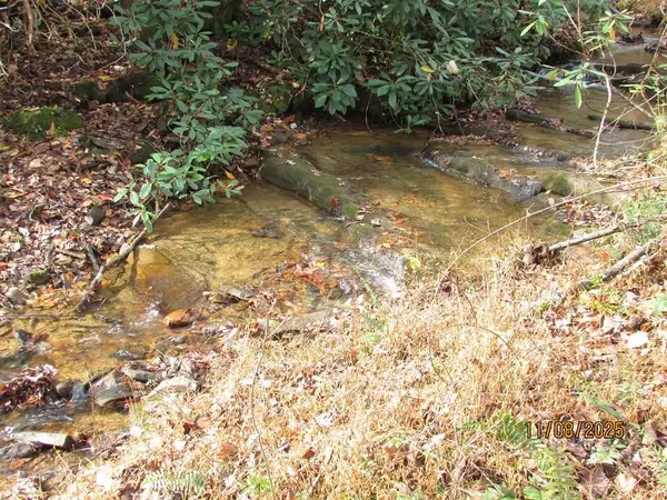 Tract 5 Wikle Road, Hayesville, NC 28904