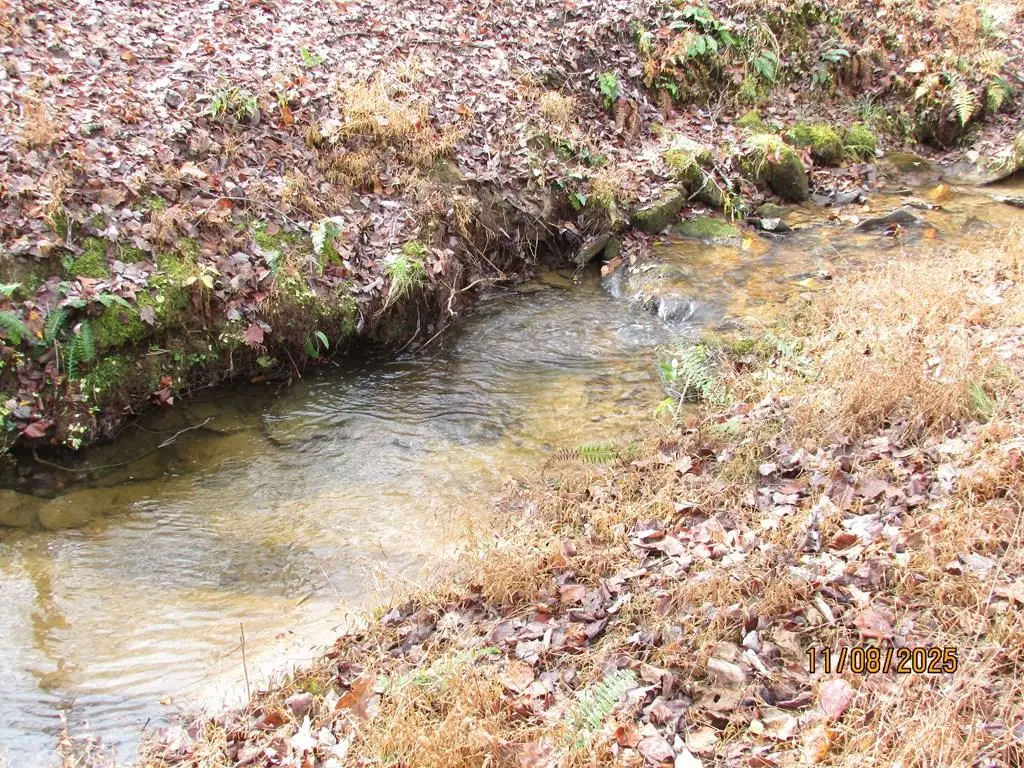 Tract 6 Wikle Road, Hayesville, NC 28904 - #1