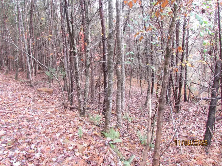 Tract 6 Wikle Road, Hayesville, NC 28904 - #2