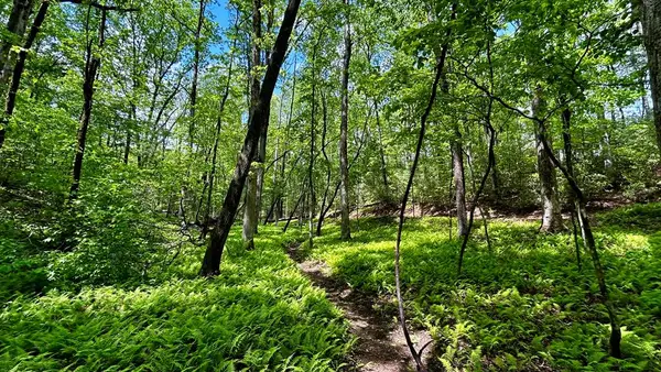 LT 12 Frances Drive, Ellijay, GA 30536