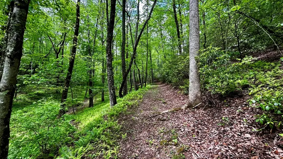 LT 12 Frances Drive, Ellijay, GA 30536 - #2
