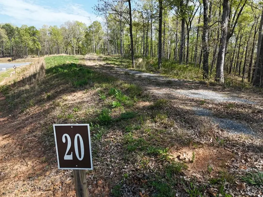 Lot 20 Blalock Mountain Road, Ellijay, GA 30540 - #3