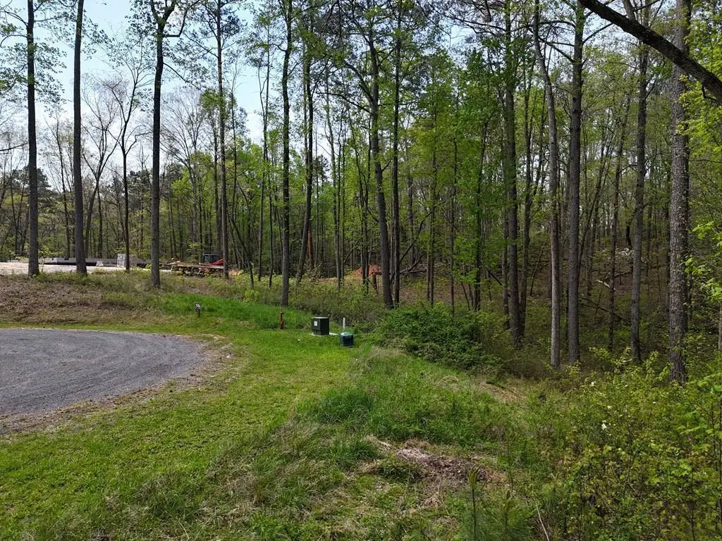 Lot 36R Hilton Drive, Ellijay, GA 30540 - #1