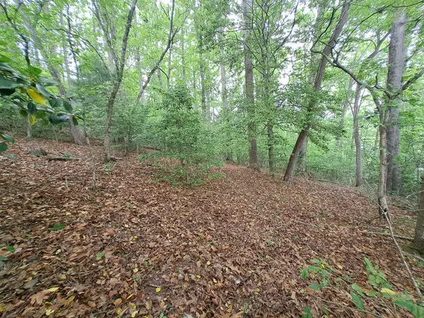 Lot 9 Murray Hill Road, Hayesville, NC 28904