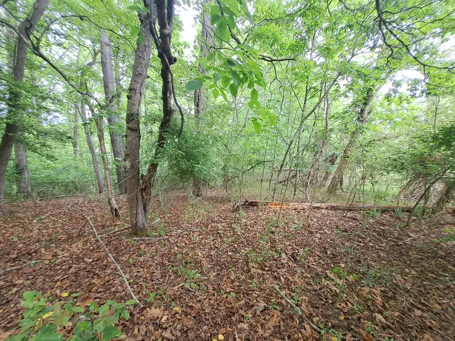 Lot 9 Murray Hill Road, Hayesville, NC 28904 - #3