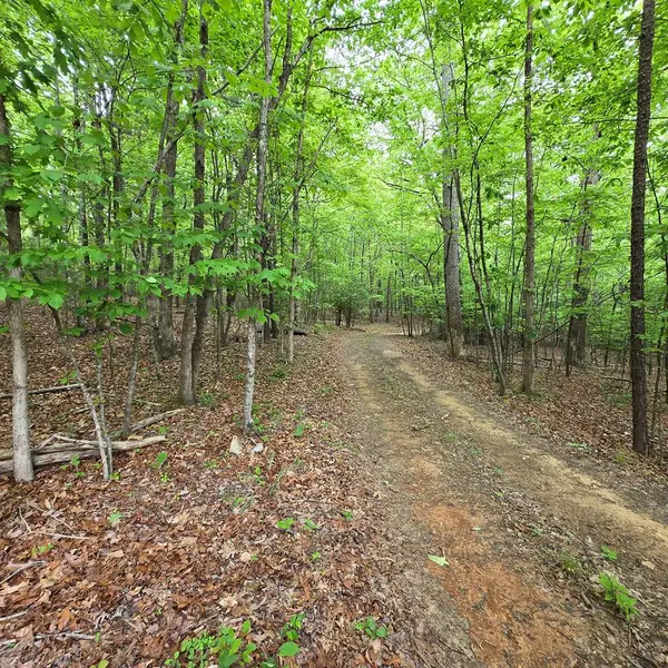 3.5acre Dusty Trail, Morganton, GA 30560