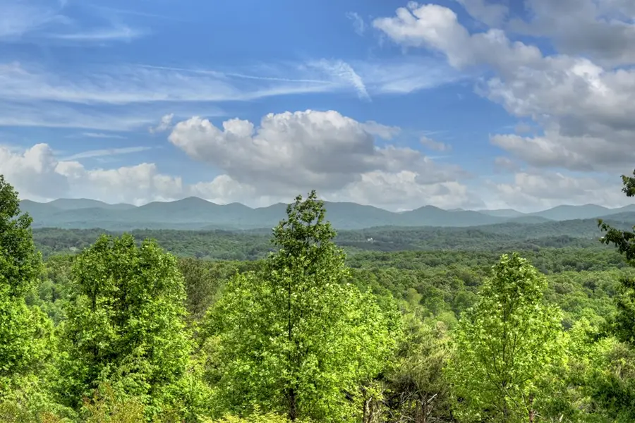 205 Lookout Drive, Blue Ridge, GA 30513 - #2