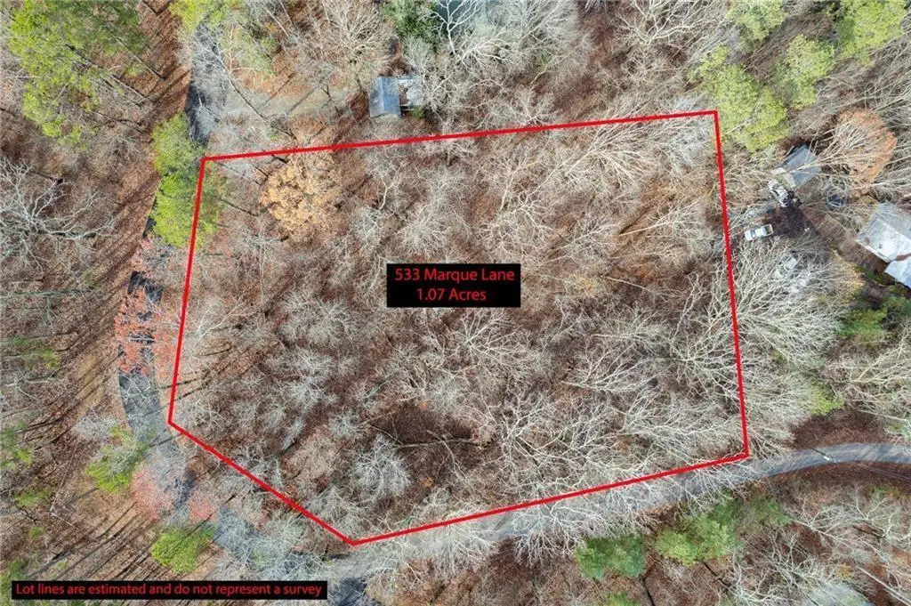 533 NE Marque Lane, Ranger, GA 30734 - #1