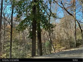 292 Nemos Drive, Ellijay, GA 30540 - #1