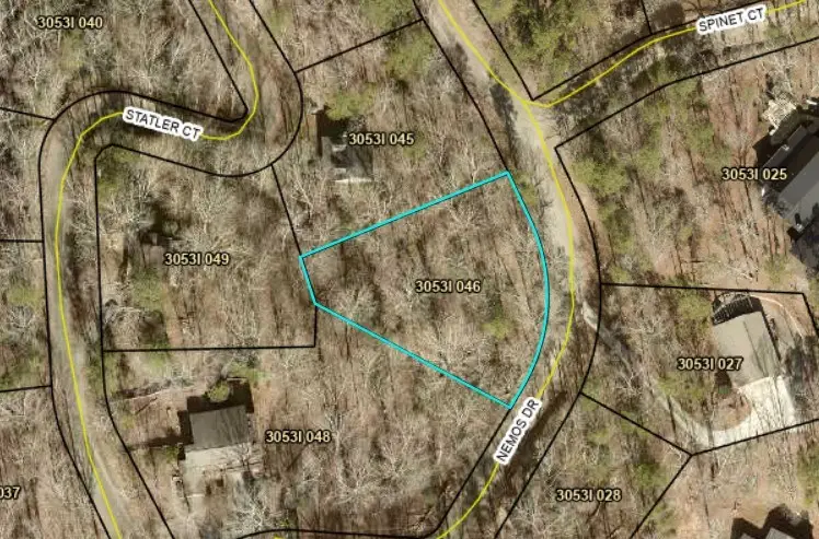 292 Nemos Drive, Ellijay, GA 30540 - #2