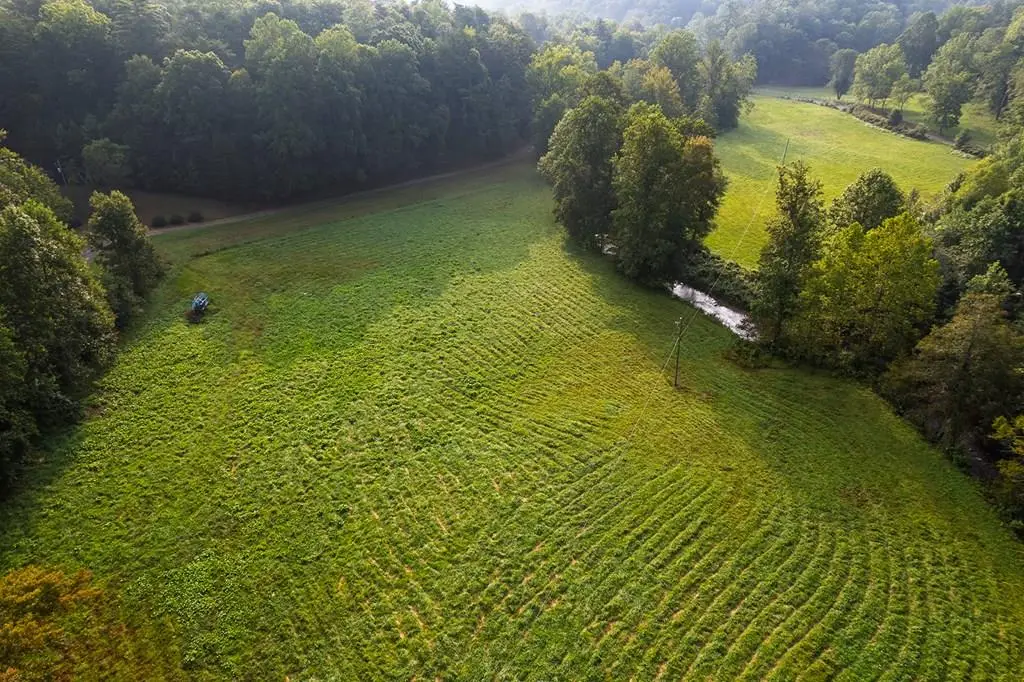 228 Holly Branch Drive, Ellijay, GA 30540 - #1