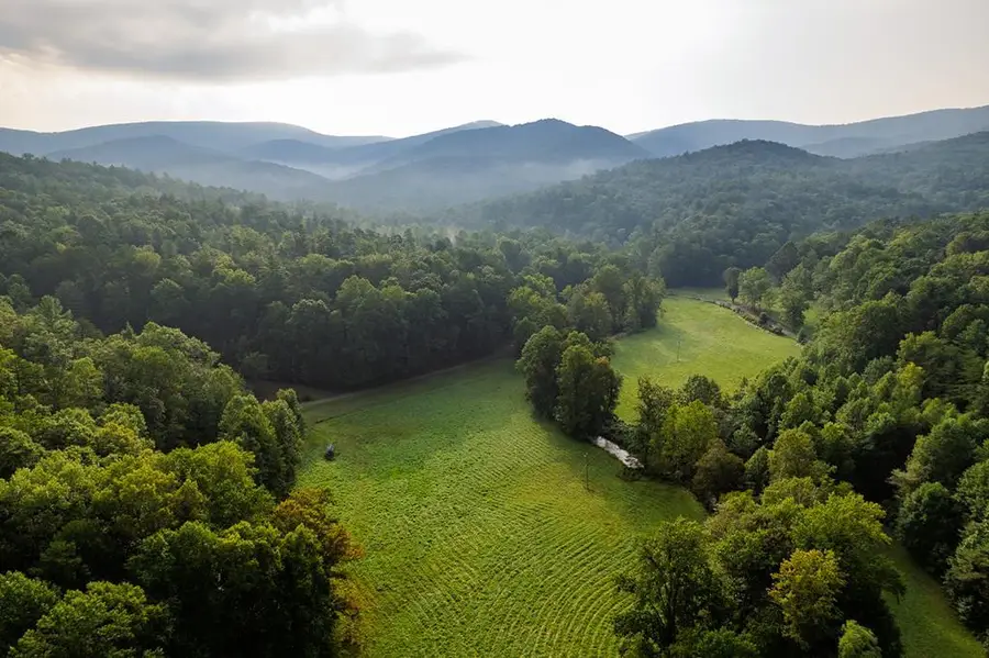 228 Holly Branch Drive, Ellijay, GA 30540 - #2
