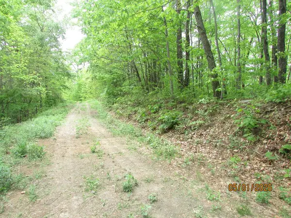 0 Taylor Knob Drive, Hayesville, NC 28904