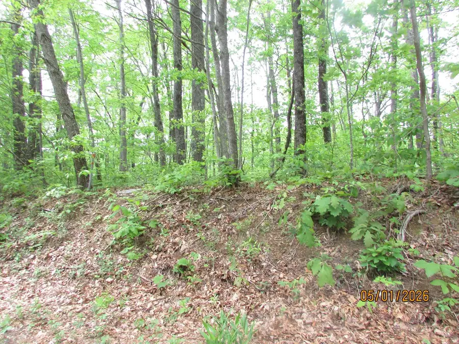 0 Taylor Knob Drive, Hayesville, NC 28904 - #2