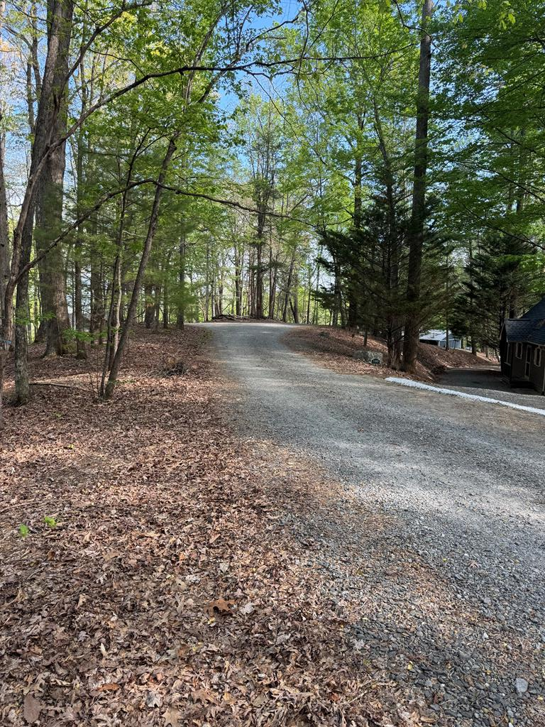 0 Mountain View Court, Ellijay, GA 30536 - #1