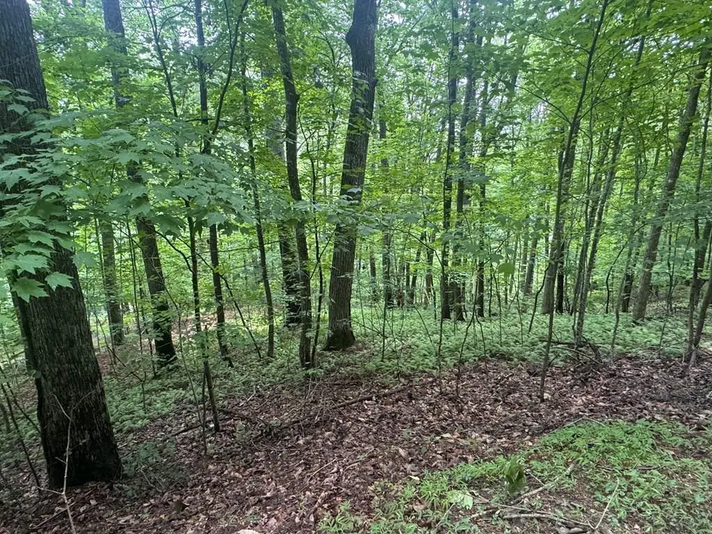 Lot 31 Highland Forge Lane, Blairsville, GA 30512 - #1