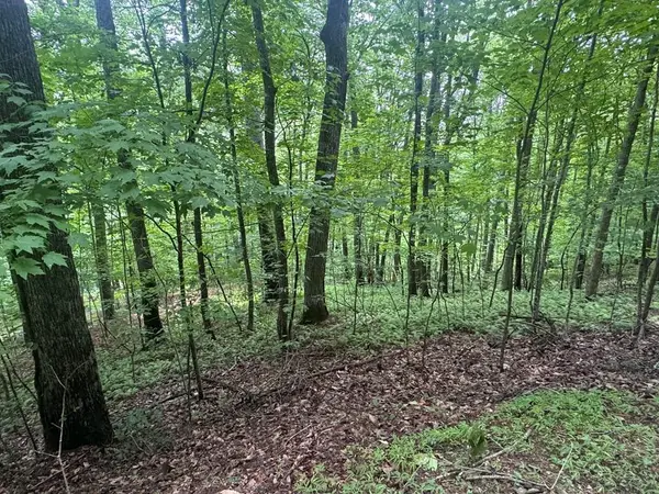 Lot 31 Highland Forge Lane, Blairsville, GA 30512
