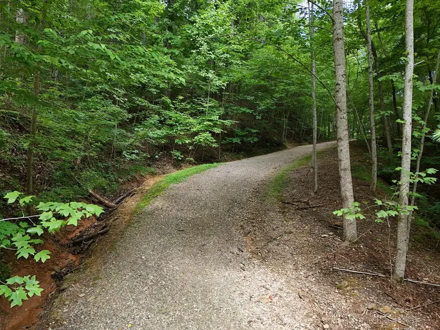 Lot 31 Highland Forge Lane, Blairsville, GA 30512 - #2