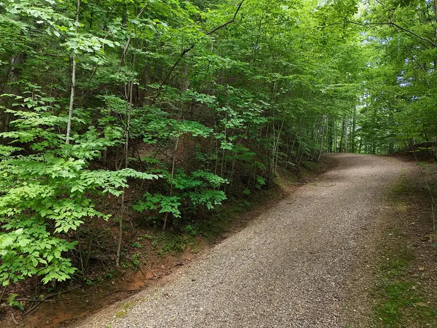 Lot 31 Highland Forge Lane, Blairsville, GA 30512 - #3