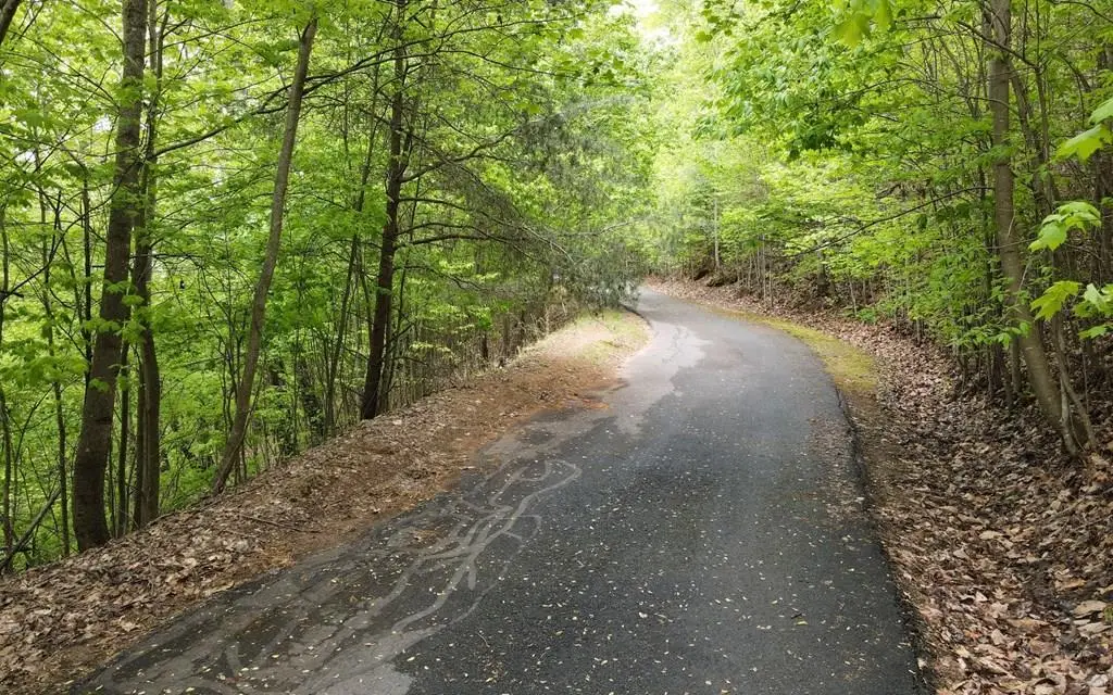 lot 118 Croft Mountain Road, Blairsville, GA 30512 - #1