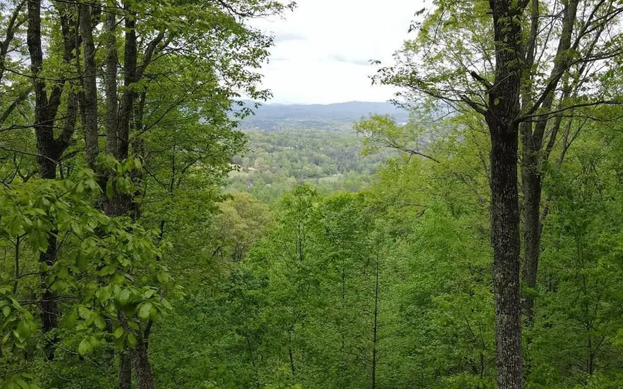 lot 118 Croft Mountain Road, Blairsville, GA 30512 - #2