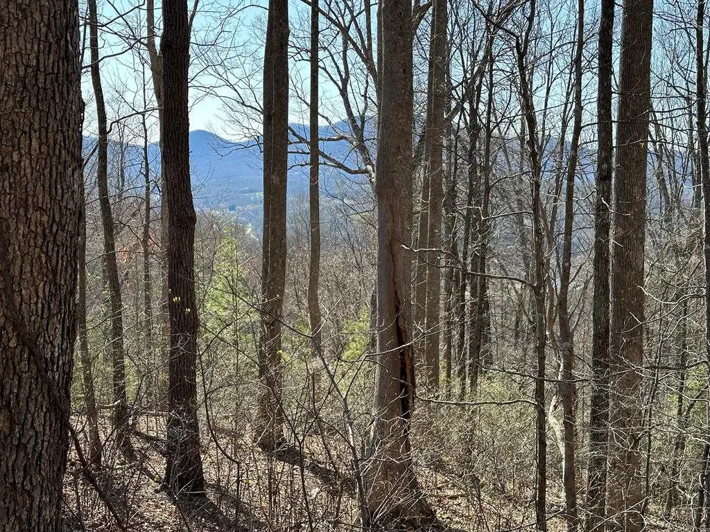 Lot 80 Asheland Cove, Young Harris, GA 30582 - #1