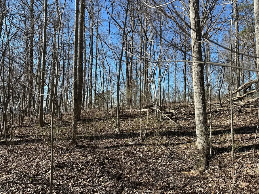 Lot 80 Asheland Cove, Young Harris, GA 30582 - #3