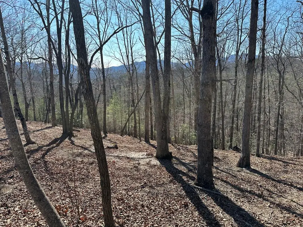 Lot 55 Asheland Cove, Young Harris, GA 30582 - #1