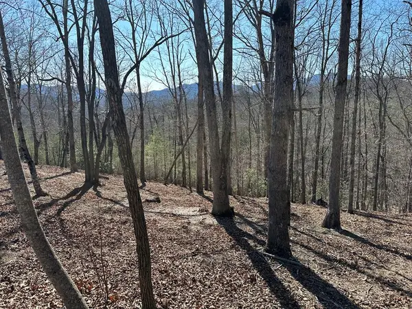 Lot 55 Asheland Cove, Young Harris, GA 30582
