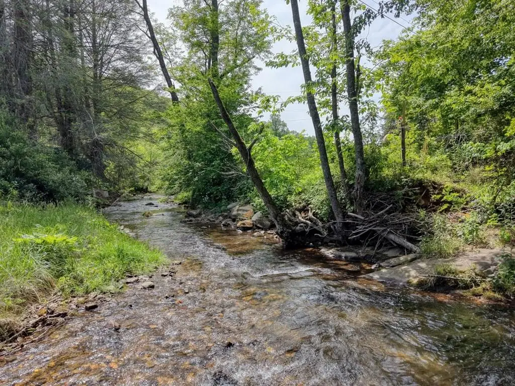 4706 Swallows Creek Road, Hiawassee, GA 30546 - #1