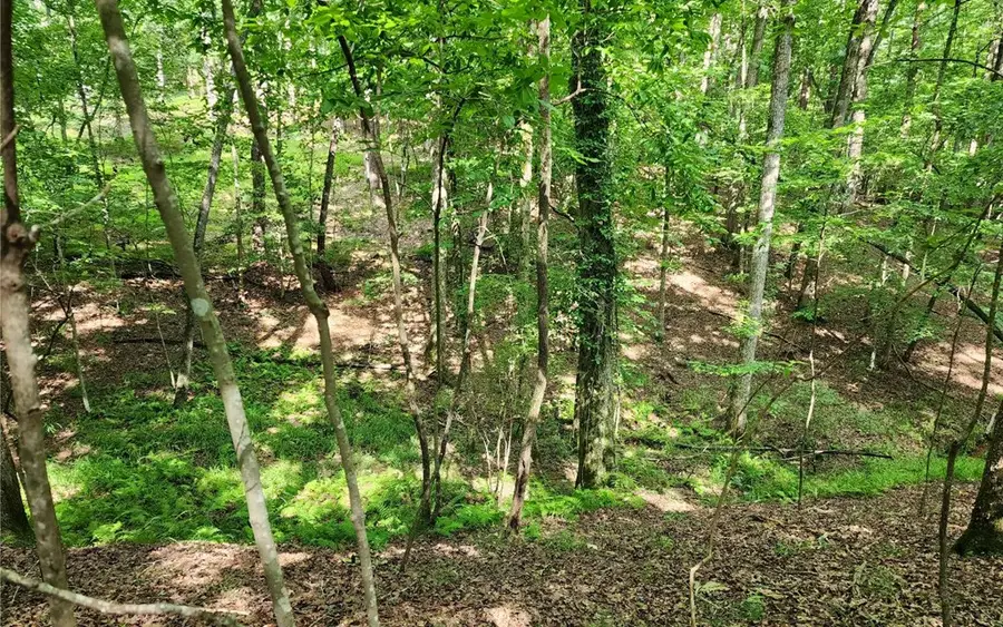 0 Oneida Circle, Ellijay, GA 30540 - #2