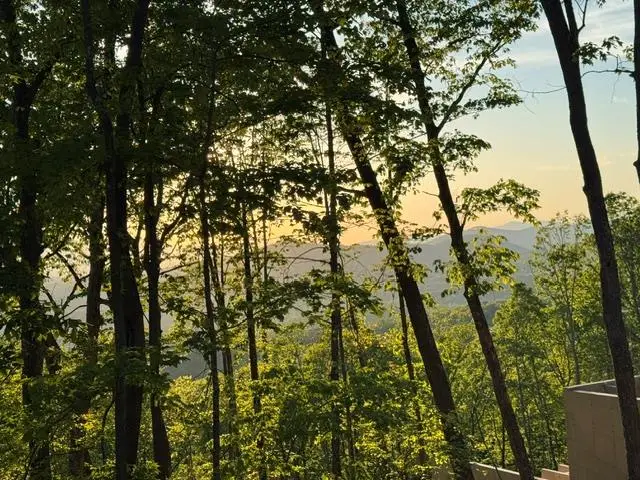 Lot 239 Kittatinny Drive, Mineral Bluff, GA 30559 - #1
