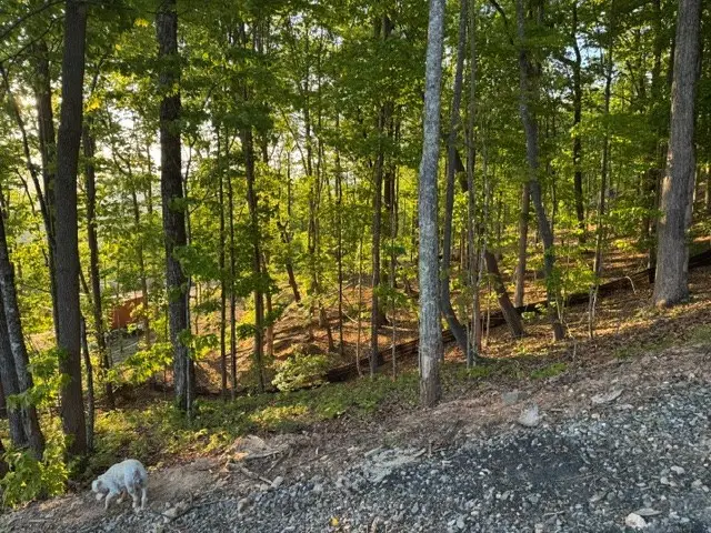 Lot 239 Kittatinny Drive, Mineral Bluff, GA 30559 - #3