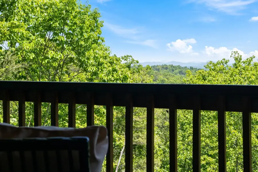 161 Huntington Way, Blue Ridge, GA 30513 - #3