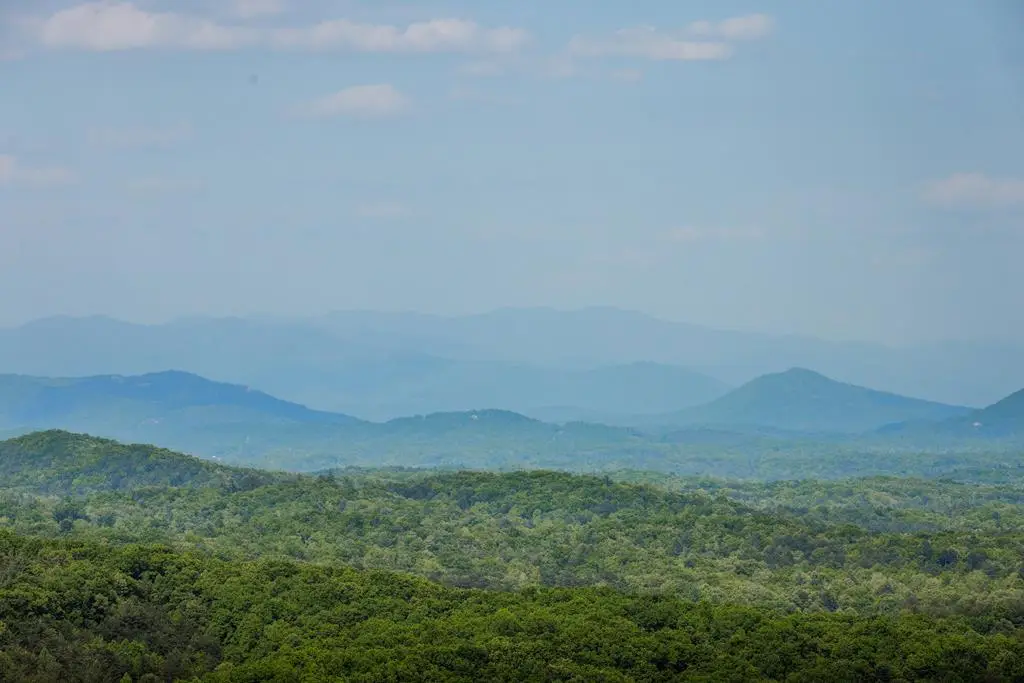Lot 211 Catawba Drive, Mineral Bluff, GA 30559 - #1