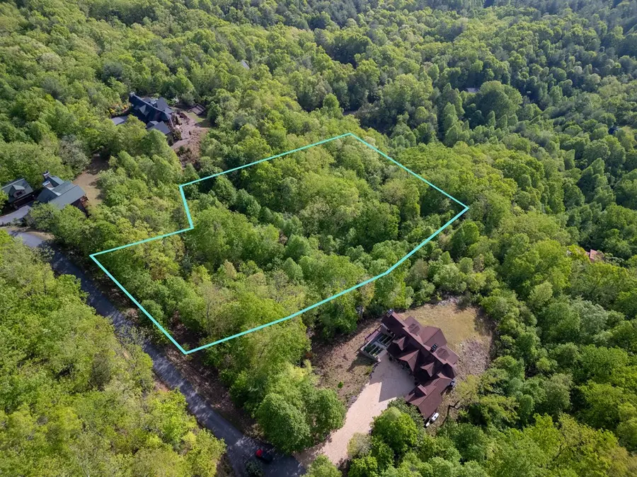 Lot 211 Catawba Drive, Mineral Bluff, GA 30559 - #2