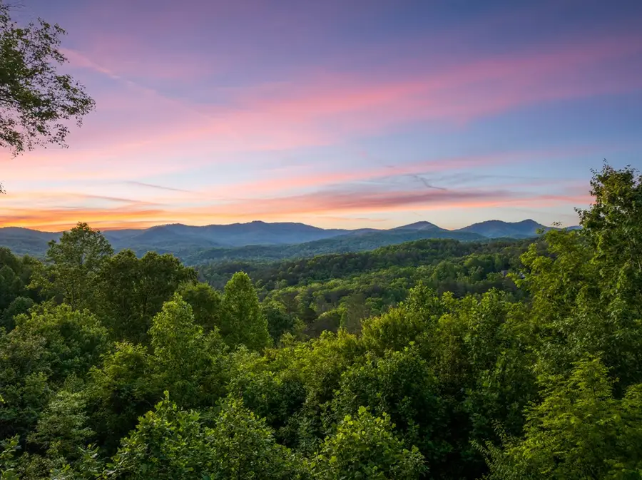 115 Mountain High Drive, Mineral Bluff, GA 30559 - #3