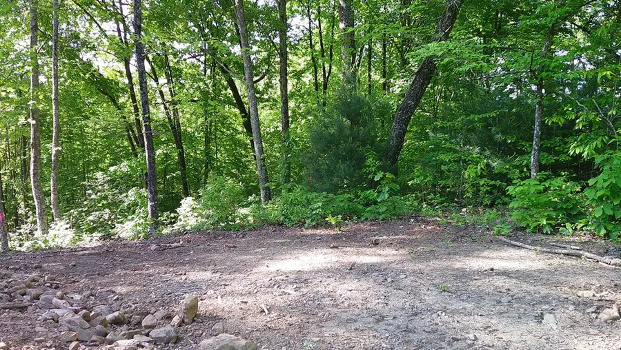 00 Fain Peak Drive, Murphy, NC 28906 - #2
