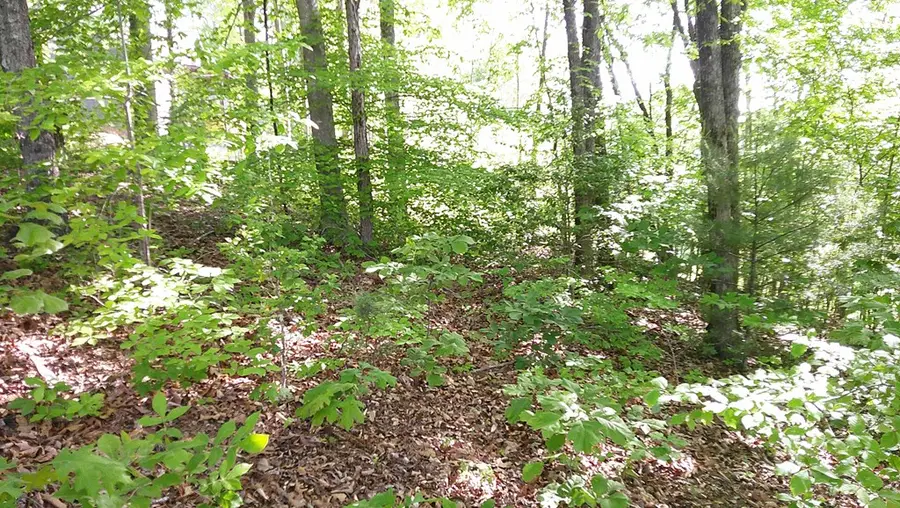 00 Fain Peak Drive, Murphy, NC 28906 - #3