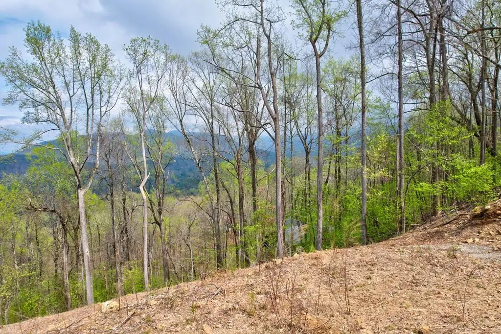 Lt 12&13 Greystone Trace, Ellijay, GA 30540 - #1