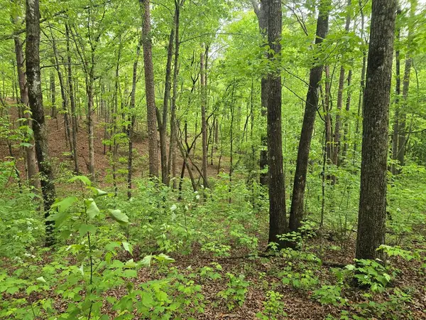 0 Pinnacle Dr, Ellijay, GA 30540