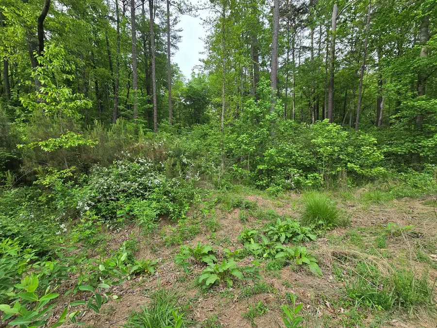 0 Pinnacle Dr, Ellijay, GA 30540 - #2
