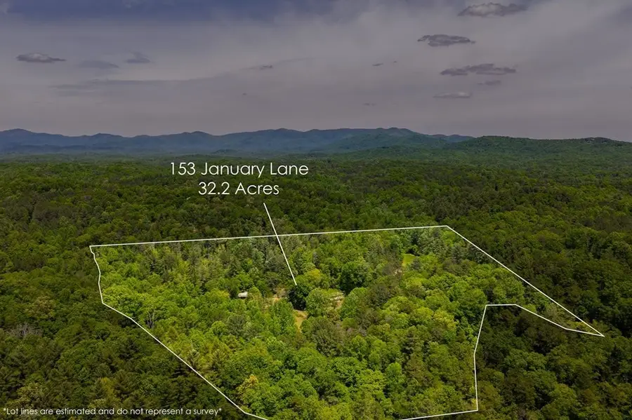 153 January Lane, Ellijay, GA 30540 - #3