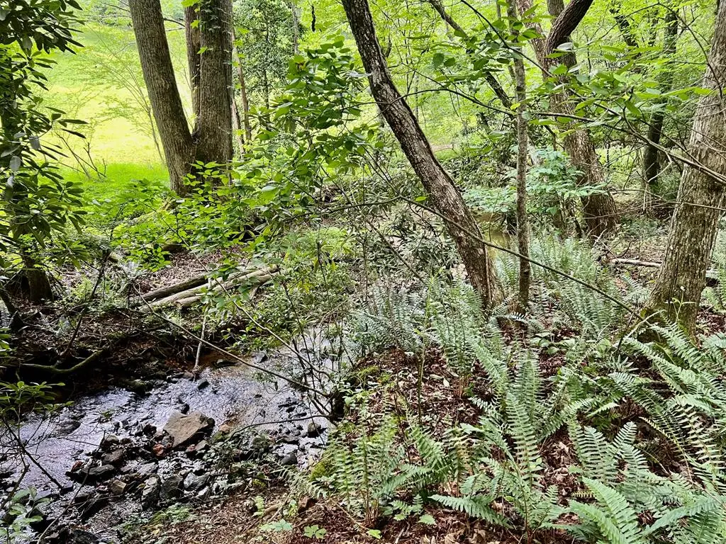 Lot 4 Lower Fox Trail, Blairsville, GA 30512 - #1